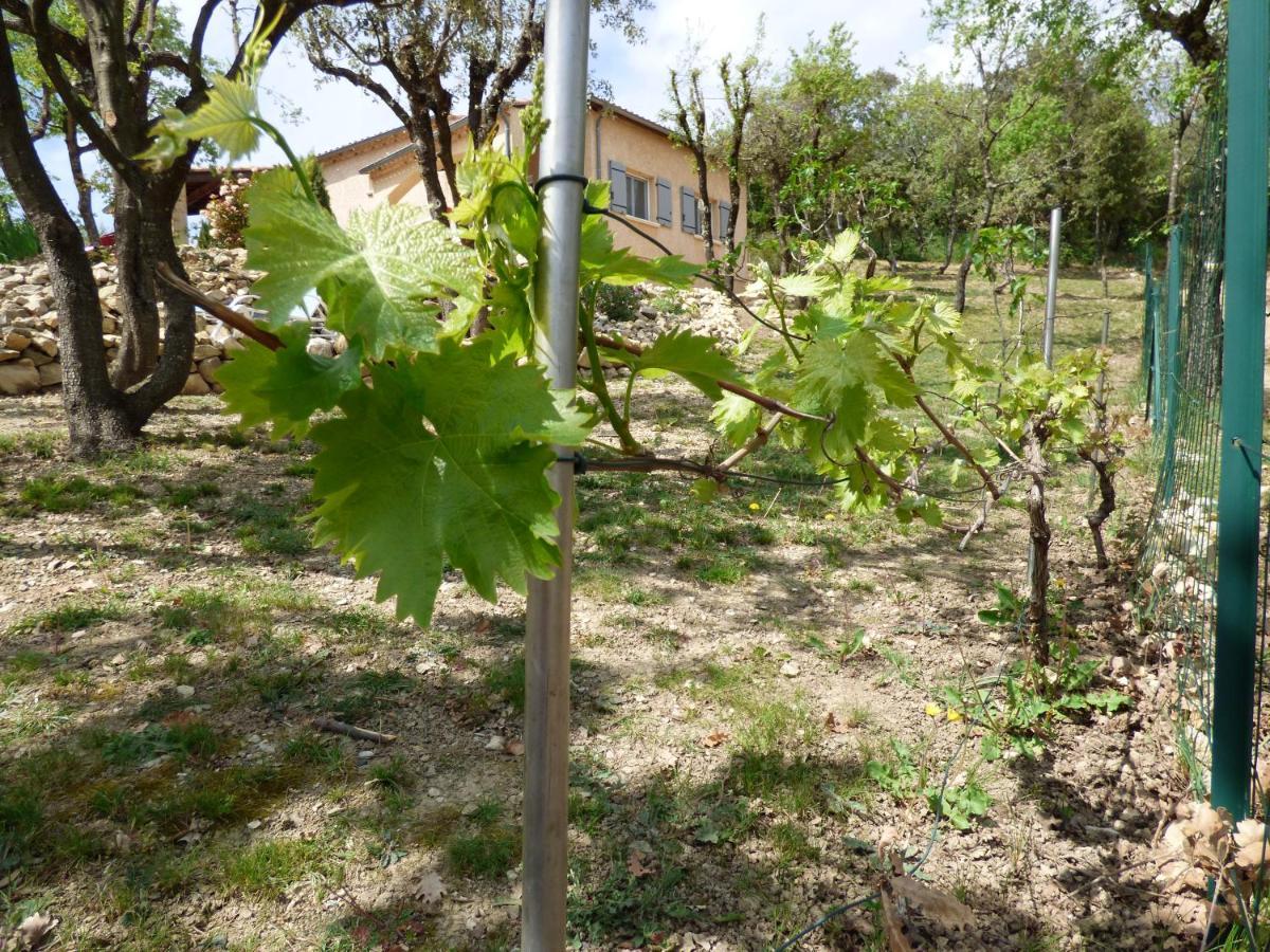 Gites De L'Esquirou Lagorce  Exteriör bild